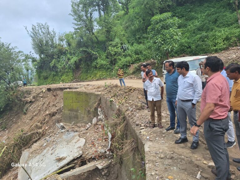 डीसी हेमराज ने उहल, कक्कड़, जंगलबैरी में लिया नुक्सान का जायजा