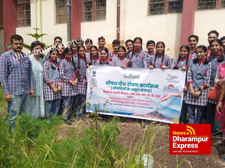 केंद्रीय विद्यालय हमीरपुर में  किया गया पौधारोपण