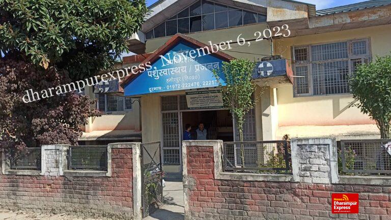 भेड़, बकरियों को मुँह की बीमारी से मुक्त करने के लिए विभाग के पास पहुंची 25000 वैक्सीन