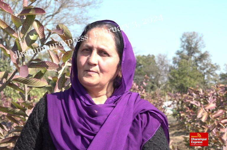 एचपीशिवा परियोजना से गांव बगेहड़ा में बिखरने लगी अमरूद की महक