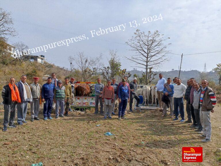 ग्राम पंचायत बारीं की अनूठी पहल, 16 बेसहारा पशु पहुंचाएं गौशाला