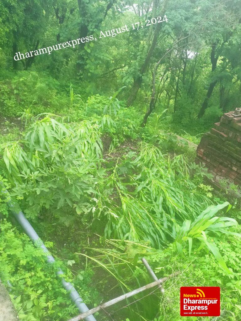 टौणी देवी में नौ घंटे बाद बहाल हुई बिजली , महाड़े के सुरेंद्र कुमार के घर घुसा एनएच का पानी