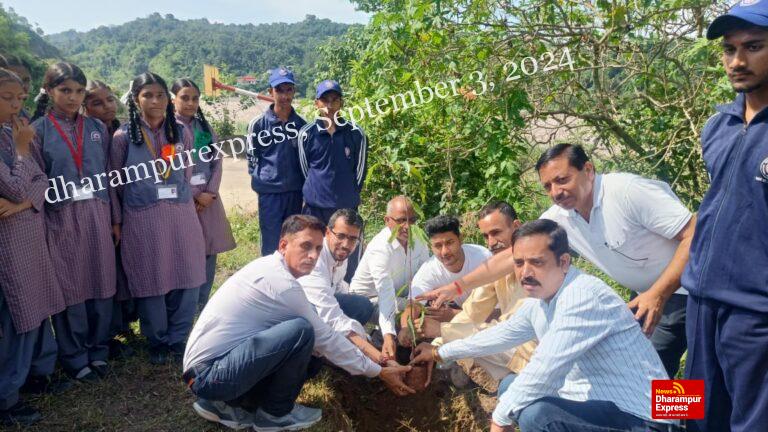 जंगलबैरी स्कूल में लगाया ‘अशोक वृक्ष’