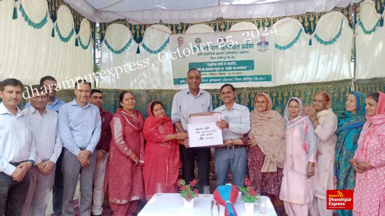 हमीरपुर में प्राकृतिक खेती से तैयार मक्की की खरीद शुरू