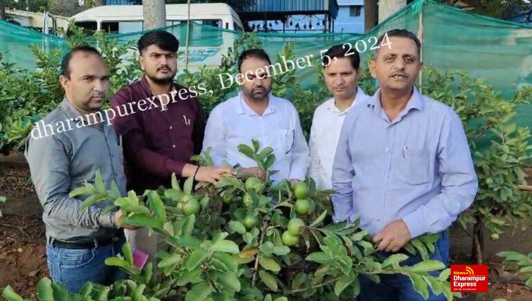 बेंगलुरू में अमरूद की नई किस्में की जानकारी ले रहे हैं हिमाचल के अधिकारी