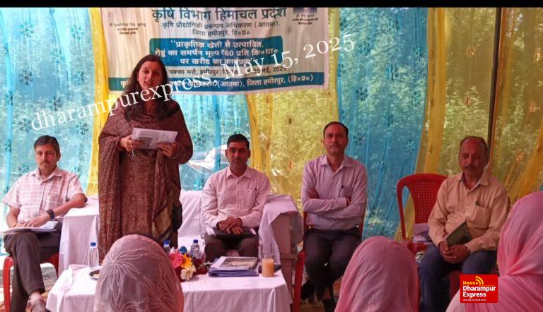 हमीरपुर में पहले दिन 69 किसानों से खरीदी प्राकृतिक खेती से तैयार गेहूं