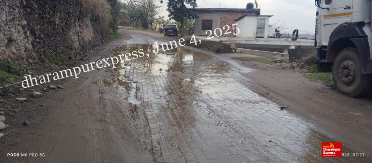 गवारडू पटवार घर के पास सड़क पर लम्बे समय से जलभराव, अब तक न निकला समाधान, लोग परेशान 