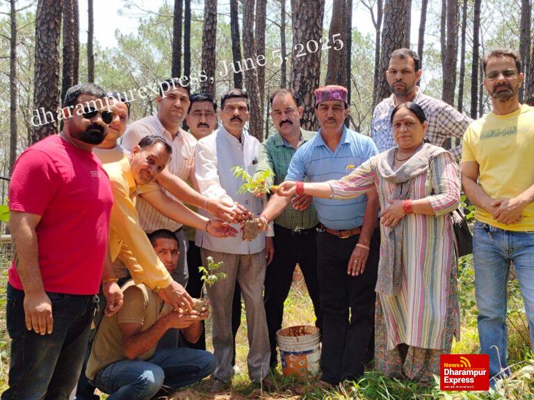 भाजपा ने हमीरपुर में मनाया विश्व पर्यावरण दिवस 