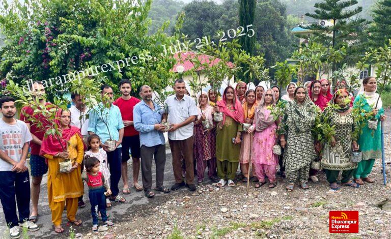 जनसेवक सुशील ठाकुर बांटेंगे पांच हजार फलदार पौधे