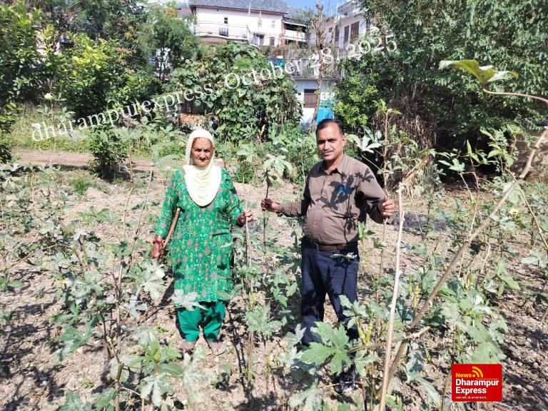एक साथ कई फसलें उगाकर तीर्थू देवी ने पेश की मिसाल