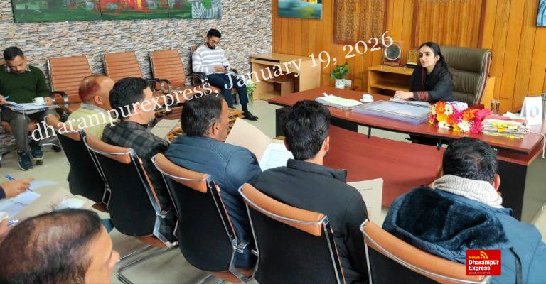 25 को बचत भवन में मनाया जाएगा मतदाता दिवस समारोह : गंधर्वा राठौड़