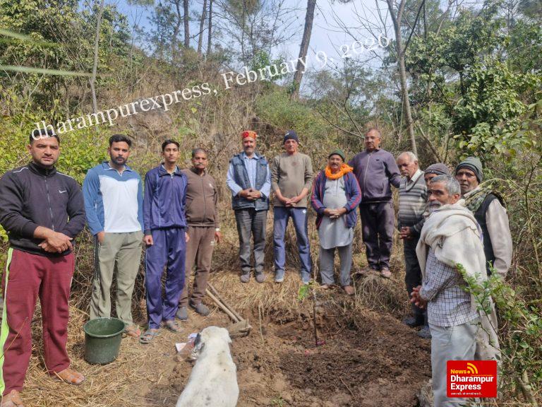 मैड़ ग्राम सुधार सभा द्वारा शमशान घाट परिसर में पौधारोपण कार्यक्रम आयोजित