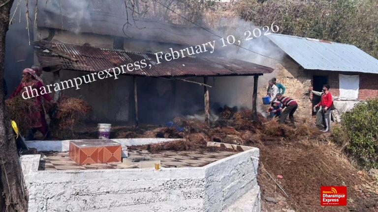 सोलन के समीप तोप की बेड गांव में पशुशाला में लगी आग, कारणों का नहीं चला पता